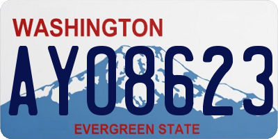 WA license plate AYO8623