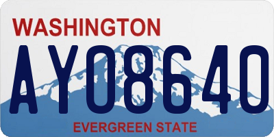 WA license plate AYO8640