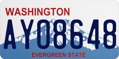WA license plate AYO8648