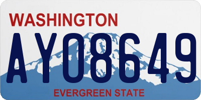 WA license plate AYO8649