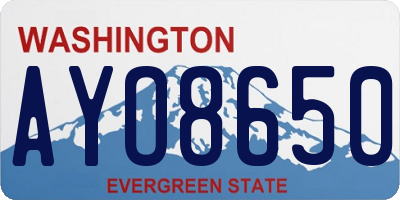 WA license plate AYO8650