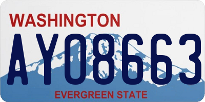 WA license plate AYO8663