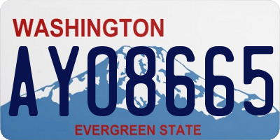 WA license plate AYO8665