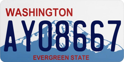 WA license plate AYO8667