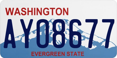 WA license plate AYO8677