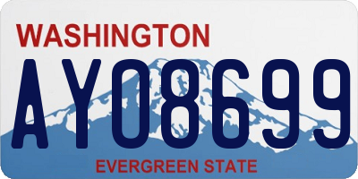 WA license plate AYO8699