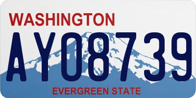 WA license plate AYO8739