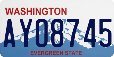 WA license plate AYO8745