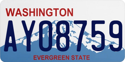 WA license plate AYO8759
