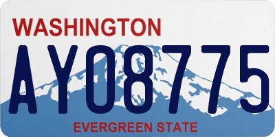 WA license plate AYO8775