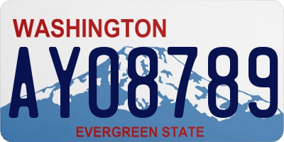 WA license plate AYO8789