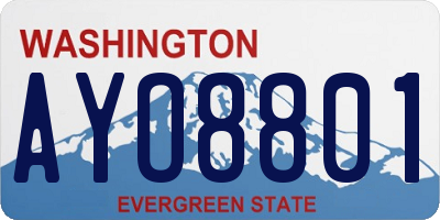 WA license plate AYO8801