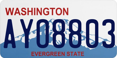 WA license plate AYO8803