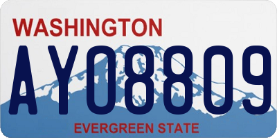 WA license plate AYO8809