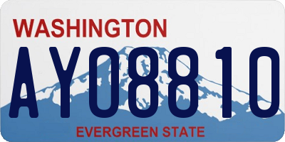 WA license plate AYO8810