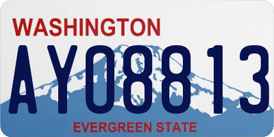 WA license plate AYO8813