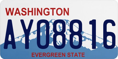 WA license plate AYO8816