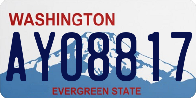 WA license plate AYO8817