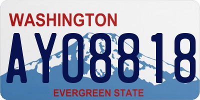WA license plate AYO8818