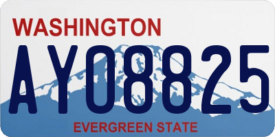 WA license plate AYO8825