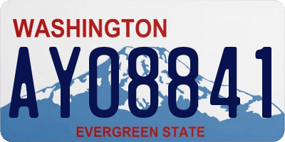 WA license plate AYO8841