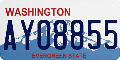 WA license plate AYO8855