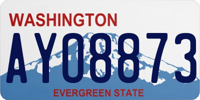 WA license plate AYO8873