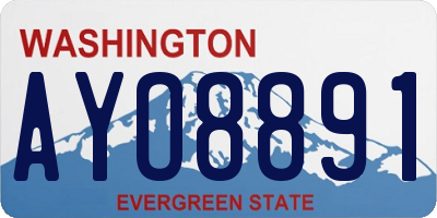 WA license plate AYO8891