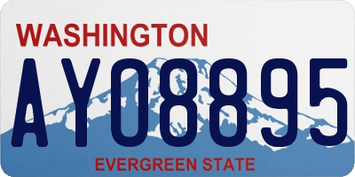 WA license plate AYO8895