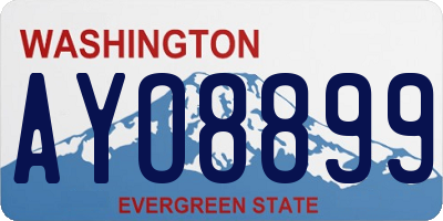 WA license plate AYO8899