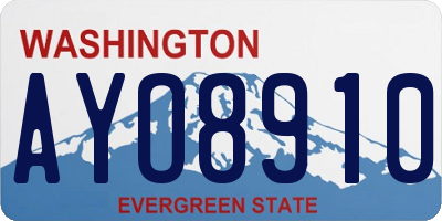 WA license plate AYO8910