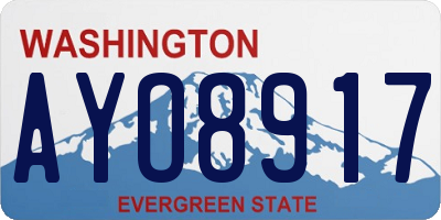 WA license plate AYO8917