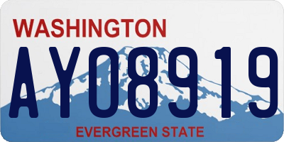 WA license plate AYO8919