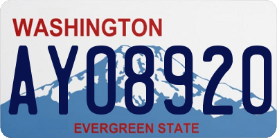 WA license plate AYO8920
