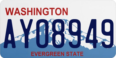 WA license plate AYO8949