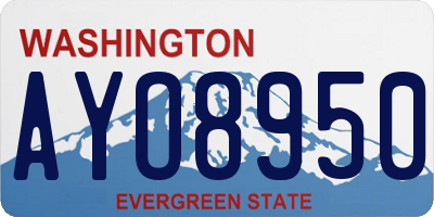 WA license plate AYO8950