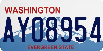 WA license plate AYO8954