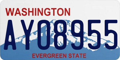 WA license plate AYO8955