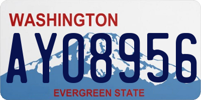 WA license plate AYO8956