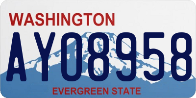 WA license plate AYO8958