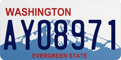 WA license plate AYO8971