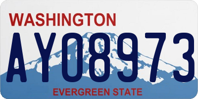 WA license plate AYO8973
