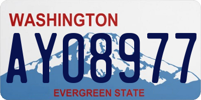 WA license plate AYO8977