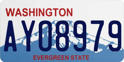 WA license plate AYO8979