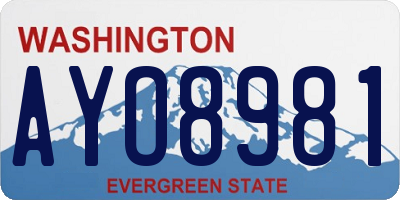 WA license plate AYO8981
