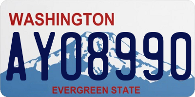 WA license plate AYO8990