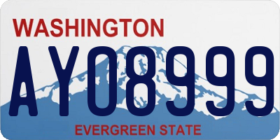 WA license plate AYO8999