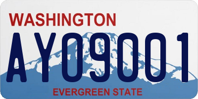 WA license plate AYO9001