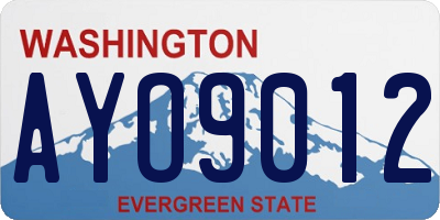 WA license plate AYO9012