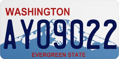 WA license plate AYO9022
